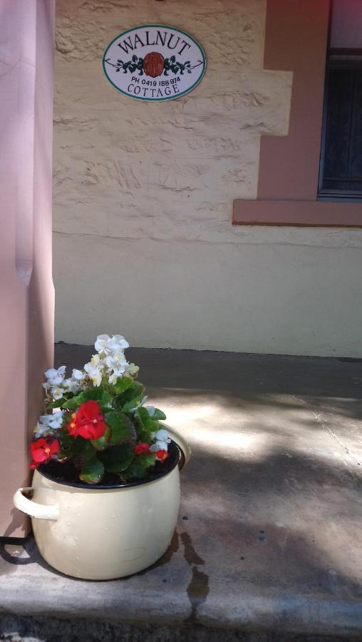 Walnut Cottage Angaston Екстер'єр фото