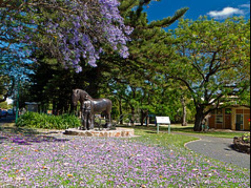 Walnut Cottage Angaston Екстер'єр фото