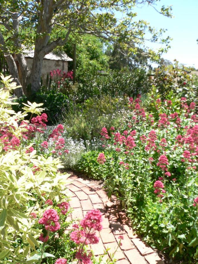 Walnut Cottage Angaston Номер фото